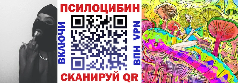 что такое наркотик  mega ССЫЛКА  Псилоцибиновые грибы Psilocybine cubensis  Чекалин 